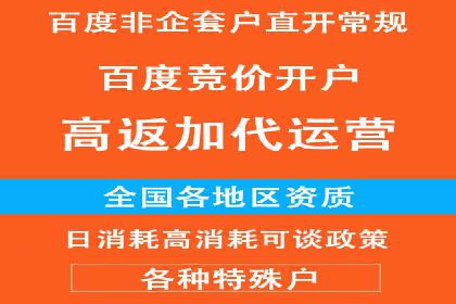 百度推广平台案例剖析：揭秘广告投放策略